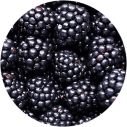 EXTRACT DE MURE
