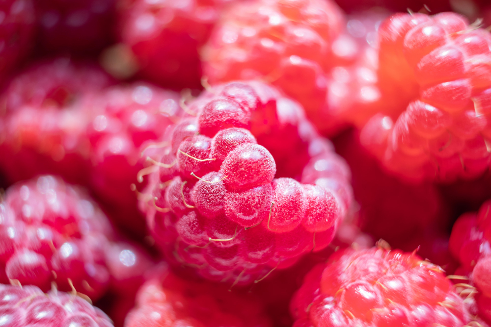 RASPBERRY OIL