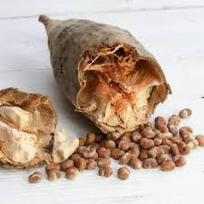 BAOBAB