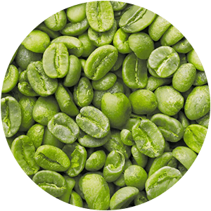 CAFEA VERDE