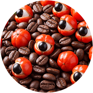 COFFEE & GUARANA